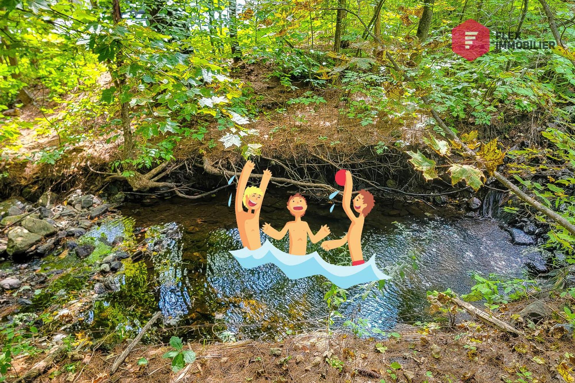 L'Arbre De La Montagne Orford - Ski Hiking Bicking Golf Beaches Magog Εξωτερικό φωτογραφία
